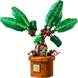 LEGO Harry Potter Toverdrankplant: Alruin, speelgoedpotplant, magisch cadeau voor meisjes, jongens en alle fans, fantasierijke kinderspeelset, woondecoratie 76433 Bouwsets Besuche den LEGO-Store