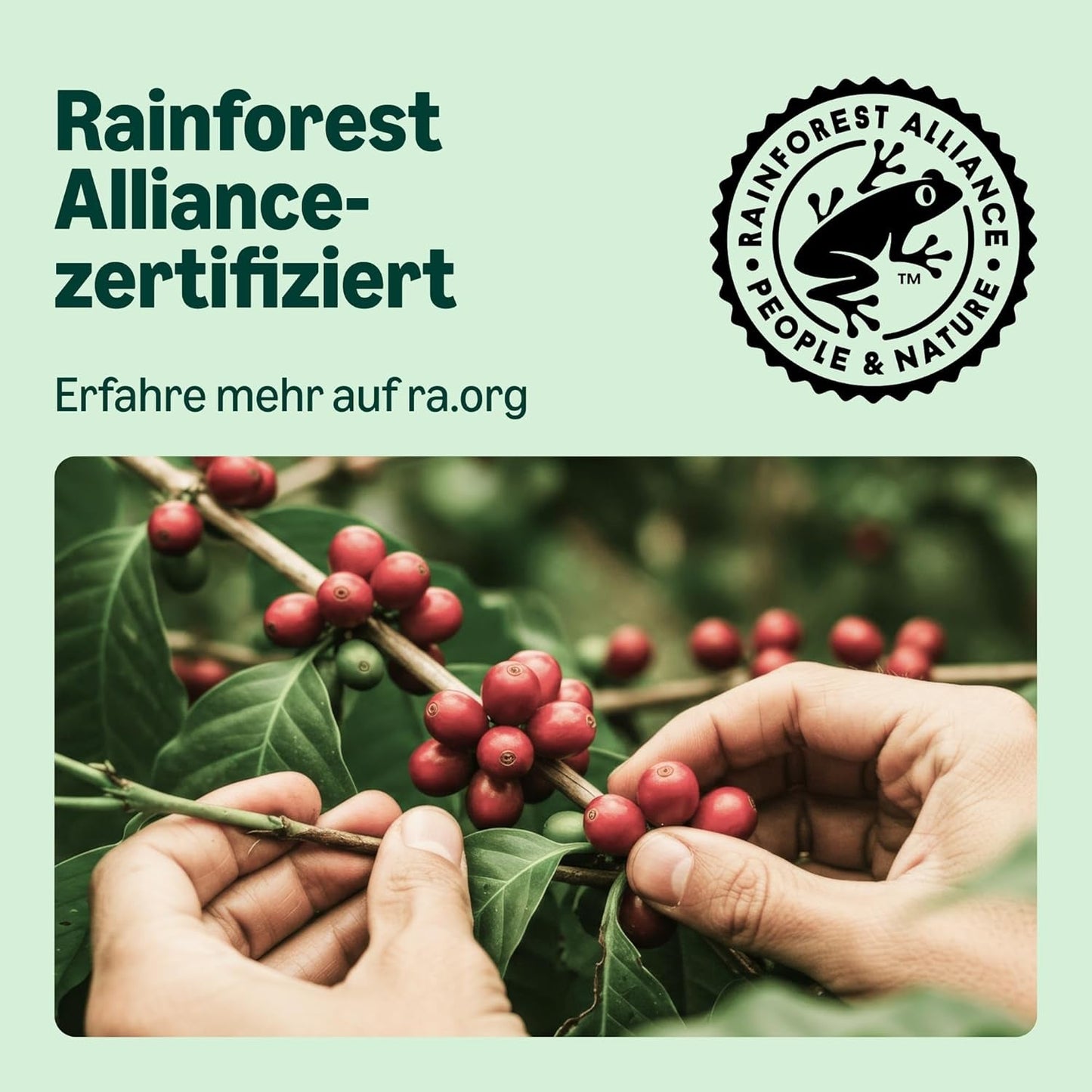 by Amazon Lungo Aluminium-Kaffeekapseln, compatibel met Nespresso, mittelgeröstet, 100 Stück (5 Packungen mit je 20 Stück) – Rainforest Alliance zertifiziert