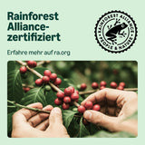 by Amazon Lungo Aluminium-Kaffeekapseln, compatibel met Nespresso, mittelgeröstet, 100 Stück (5 Packungen mit je 20 Stück) – Rainforest Alliance zertifiziert
