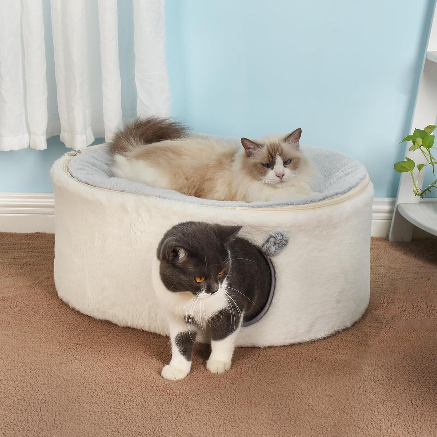 Dekens en meubels, Huisdieren, Grotten & Huizen, Katten, Kattenbedden, Katten - bedden, matrassen