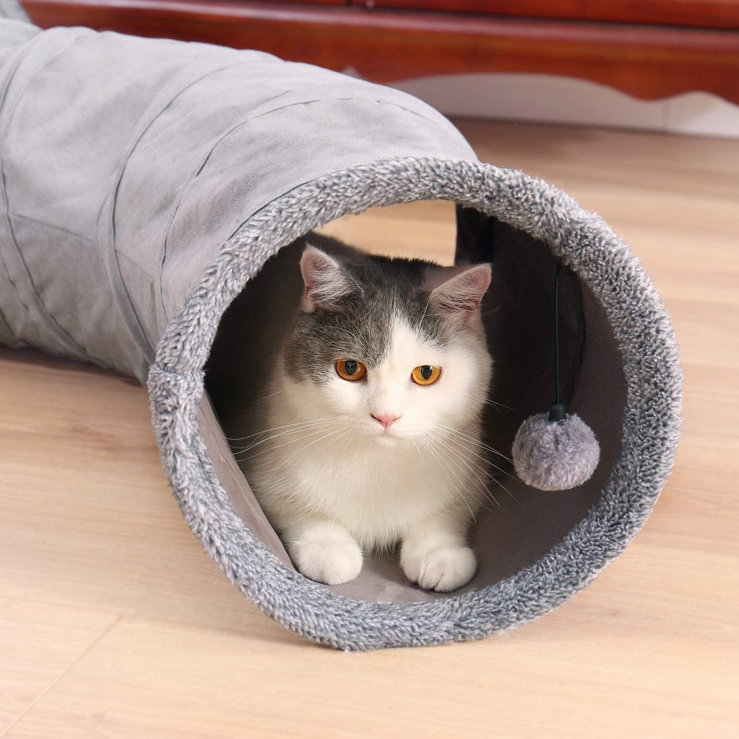 Huisdier, katten, katten - bedden, matrassen, speelgoed, tunnels