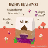 Allos Hof Granola met bessen | Biologische Muesli | Muesli met bessen | Krokante Muesli | Ontbijtgranen | Verpakking van 6 (6 x 300 g), 1 stuk (verpakking van 6)