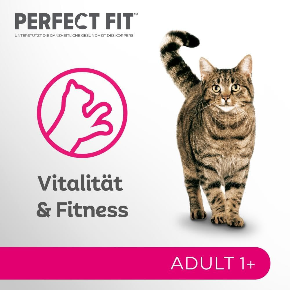 Perfect Fit Adult 1+ selectie natvoer met zalm, diepzeevis, rundvlees en kip, 48 zakjes, 12x85g (4 stuks) - Premium natvoer voor volwassen katten vanaf 1 jaar