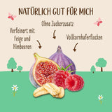 Ongezoete Allos-pap van vijgen en frambozen | Pap zonder suiker | Biologische Muesli | Muesli met fruit | Havermout | Pap als ontbijt | Ontbijtgranen | Veganistisch | Pak van 6 (6 x 500 g)
