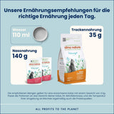 almo nature Functional Urinary Help - Natvoer voor volwassen katten met zalm - Ondersteunt de gezondheid van de urinewegen - 30 zakjes à 70 g