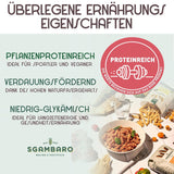 Biologische Penne Rigate Pasta N.91 - 500g met speltmeel, linzenmeel en quinoameel - Rijk aan eiwitten, bron van vezels en eiwitten