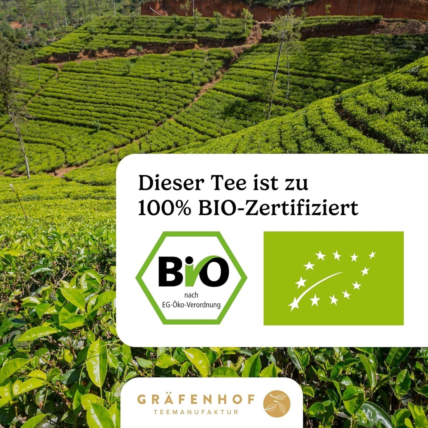 Biologische Yerba Mate-thee De originele 1 kg losse mate-thee Hoge cafeïne, ongebrand, luchtgedroogd, in het laboratorium geteste mate-bladeren, verpakt in Duitsland Premium kwaliteit Gräfenhof