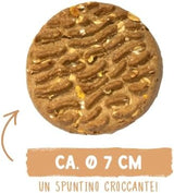 Sammy's Muesli-munten | Krokant gebakken snacks voor honden | 5 graanmueslimunten voor je grote harige vriend (30kg+) | 1 kg