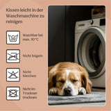 Bedden en banken, dekens en meubels, huisdieren, katten, kattenbedden, katten - bedden, matrassen