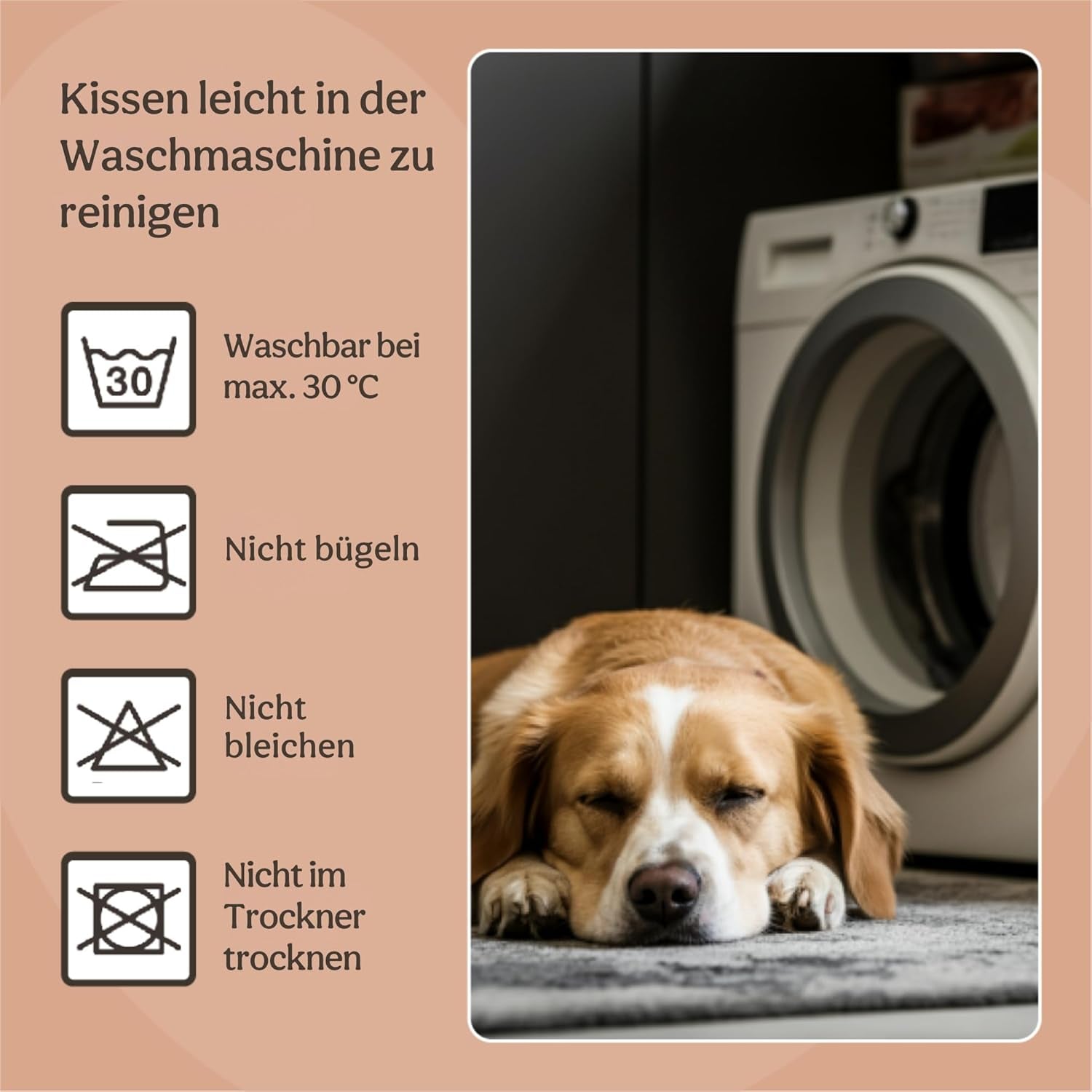 Bedden en banken, dekens en meubels, huisdieren, katten, kattenbedden, katten - bedden, matrassen