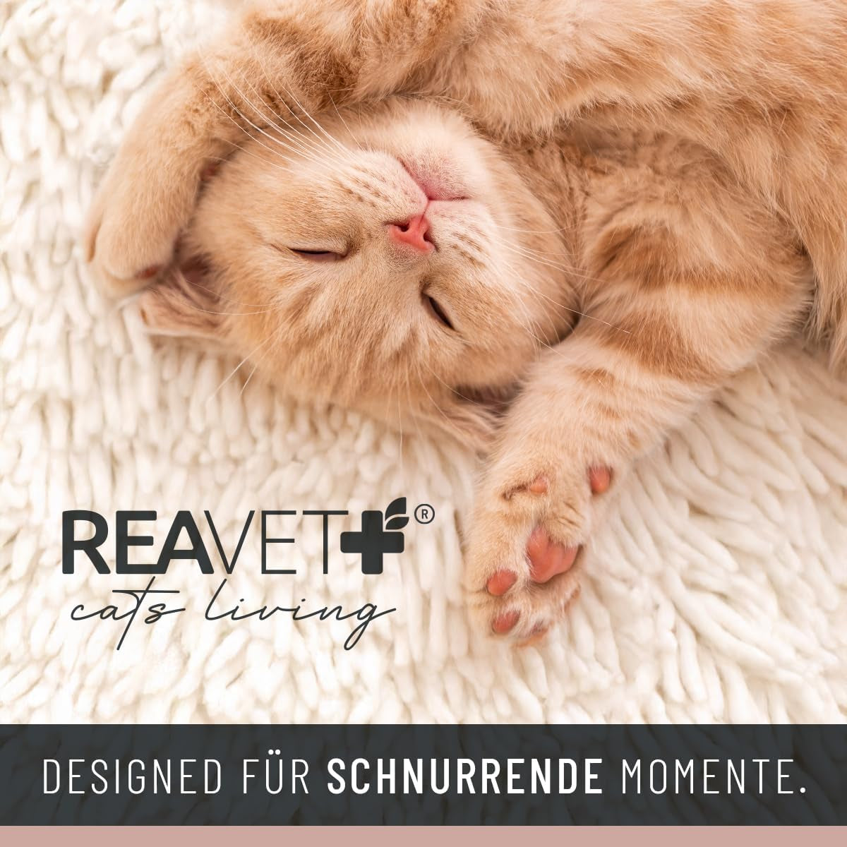Dekens en meubels, Huisdieren, Grotten & Huizen, Katten, Kattenbedden, Katten - bedden, matrassen