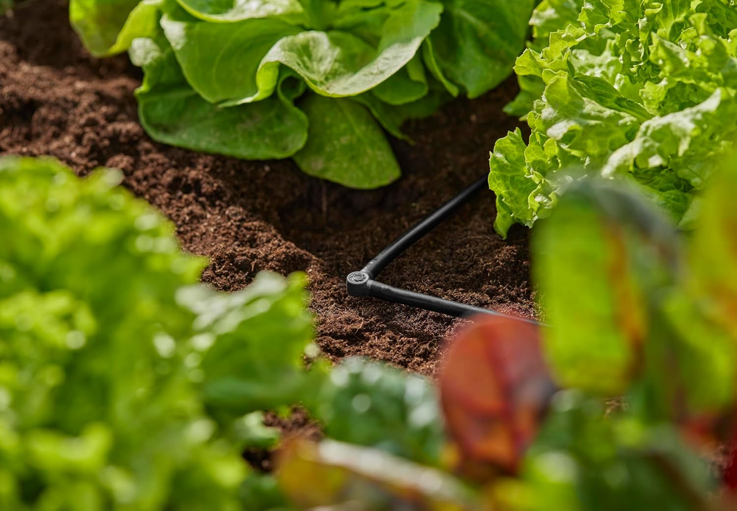 L-stuk voor Gardena Micro-Drip 4,6 mm (3/16 inch): Voor het veranderen van de distributierichting en druppelleidingen met 90 graden, knikvrije montage, eenvoudige en flexibele aansluittechniek (13212-20)