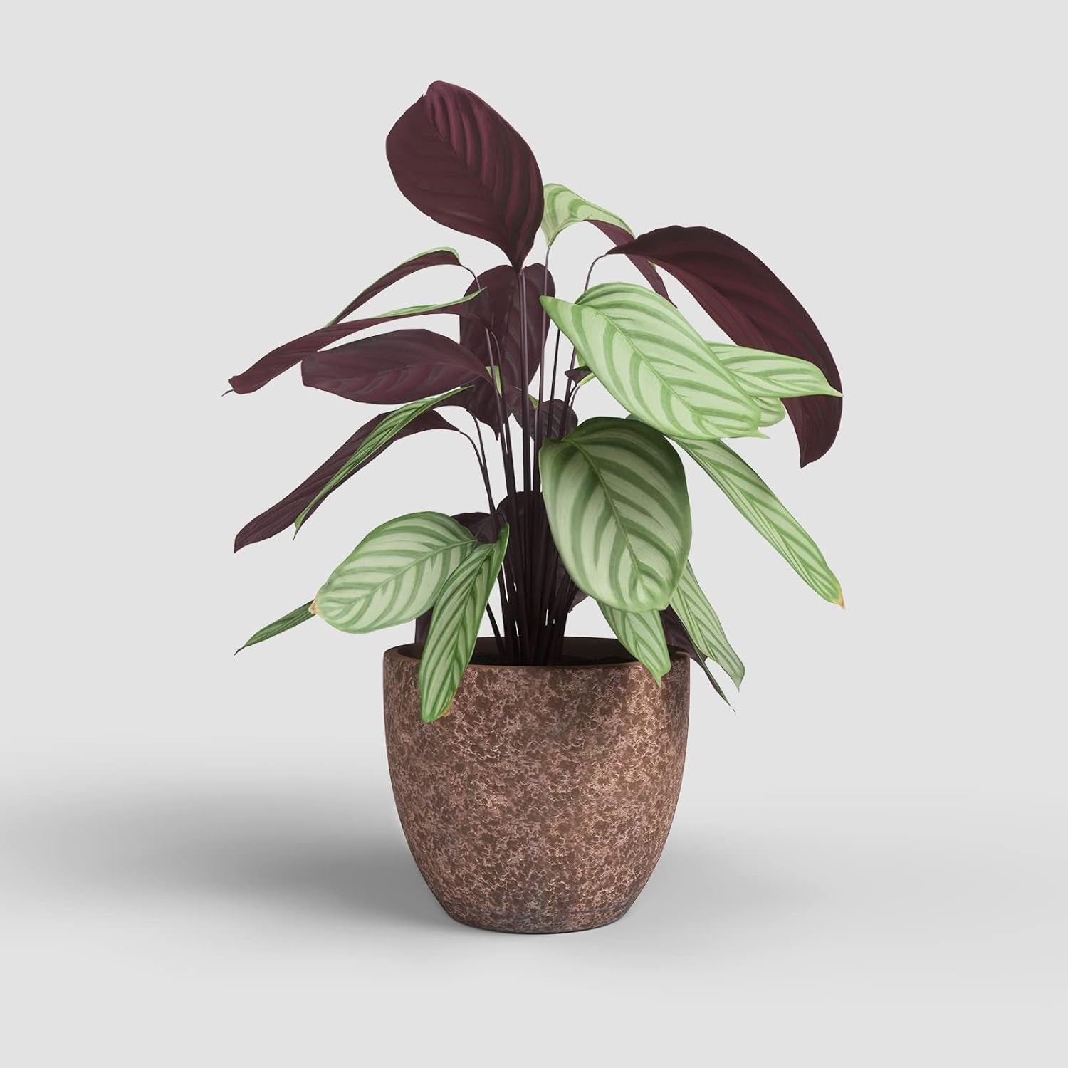 Artevasi Hestia bloempotten, bloempotten, decoratieve potten, complexe textuur, handgemaakte keramiek, terracotta kleur, 17 cm