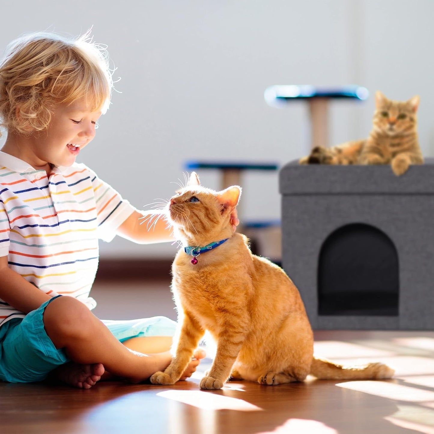 Dekens en meubels, Huisdieren, Grotten & Huizen, Katten, Kattenbedden, Katten - bedden, matrassen