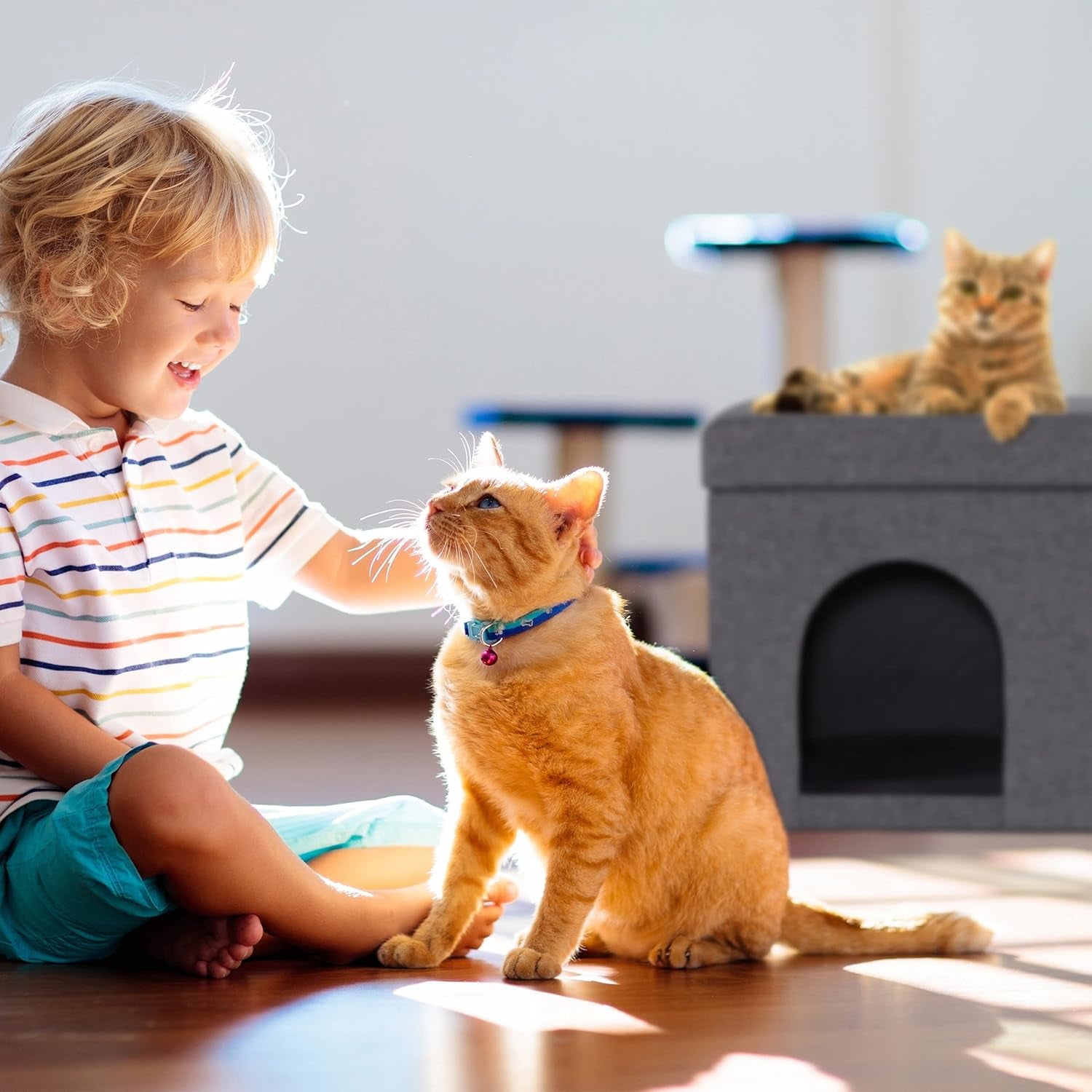 Dekens en meubels, Huisdieren, Grotten & Huizen, Katten, Kattenbedden, Katten - bedden, matrassen