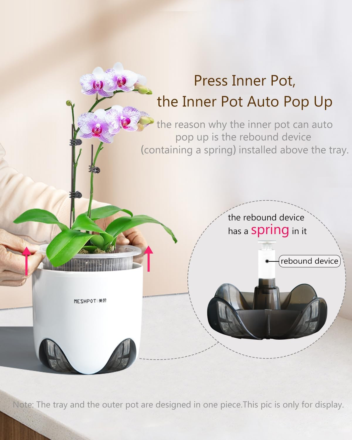 Orchideebloempot met drainagegaten voor verplanten, uitstekende luchtcirculatie, 2 stuks, dubbellaags plastic, keramische orchideeënplanter, transparante orchideebloempot, decoratief