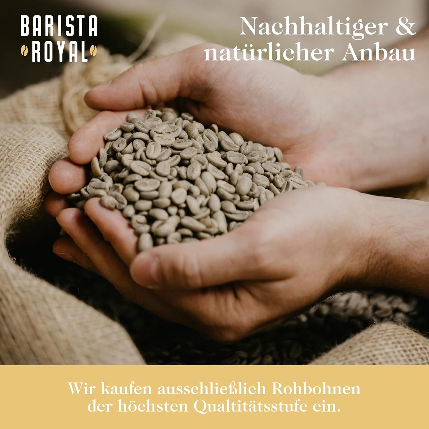 Proeverijset voor hele bonenkoffie 5 x 350 g | Ontdekkingspakket Koffiebonen in Giftset | Arabisch | Eerlijke handel | Veganistisch | Ideaal voor automatische espressomachines, filter-espressomachines, pour-over-espressomachines en French Presses | KONINKLIJKE BARISTA