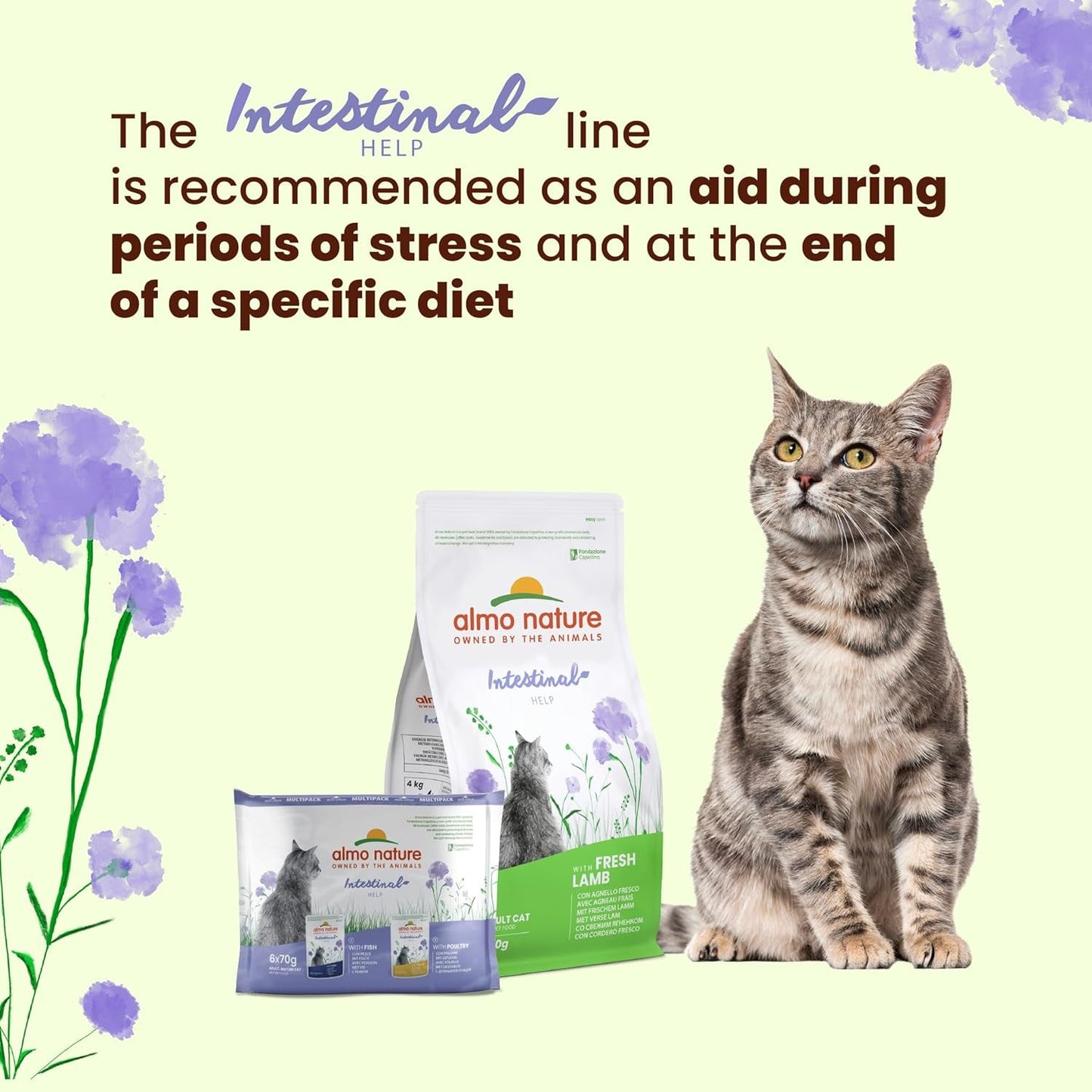 Almo Nature Functional - Darmhulp - Natvoer voor volwassen en volwassen katten met gevoelige darmen - met gevogelte - ondersteunt het microbioom - 70 g (pak van 30)