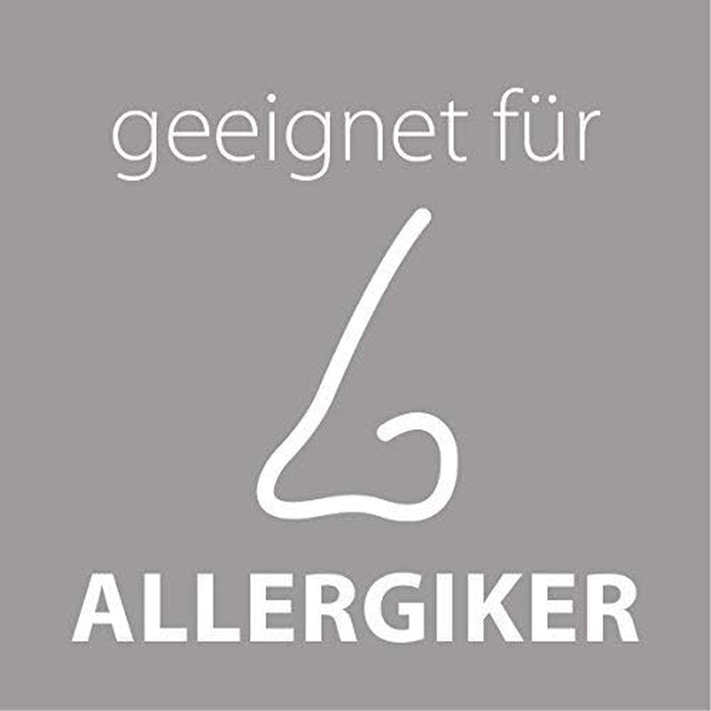 Traumnacht Topcool kussen, Met ademende functionele vezels, 80 X 80 Cm, Oeko-Tex gecertificeerd, Geproduceerd volgens de Duitse kwaliteitsnorm Naty Shop standaard kussens