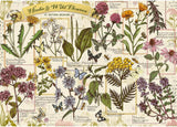 Puzzel 500 geneeskrachtige kruiden Puzzel Naty Shop