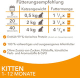 IAMS Delights Kitten Nassfutter - Multipack Katzenfutter mit Hunn in Sauce, hoogwaardige Futter für Junior Kätzchen von 1-12 Monate, 12 x 85 g