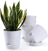 Bloempot 6 stuks 12,7 cm zelfwater gevende plantenbak hoge drainage binnen buiten bloempot met reservoirbak en gietrand tuin plantenbak tuin