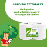 Jumbo Eco-toiletpapierrollen, 2-laags, handwascrème met reinigende, hydraterende en gladmakende formule - bloemengeur - 5L, 6 stuks (1-pack)
