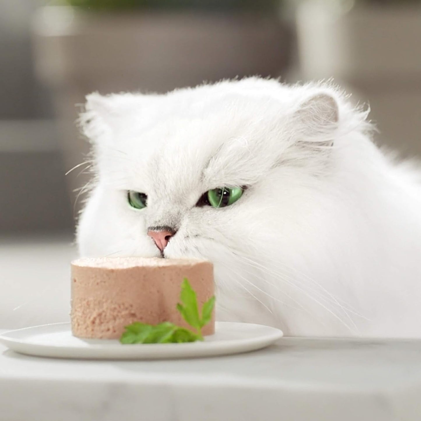 Fijne Paté Gourmet Gold met Groenten, Nat Kattenvoer met Forel en Tomaat, 12 stuks (12 x 85 g)