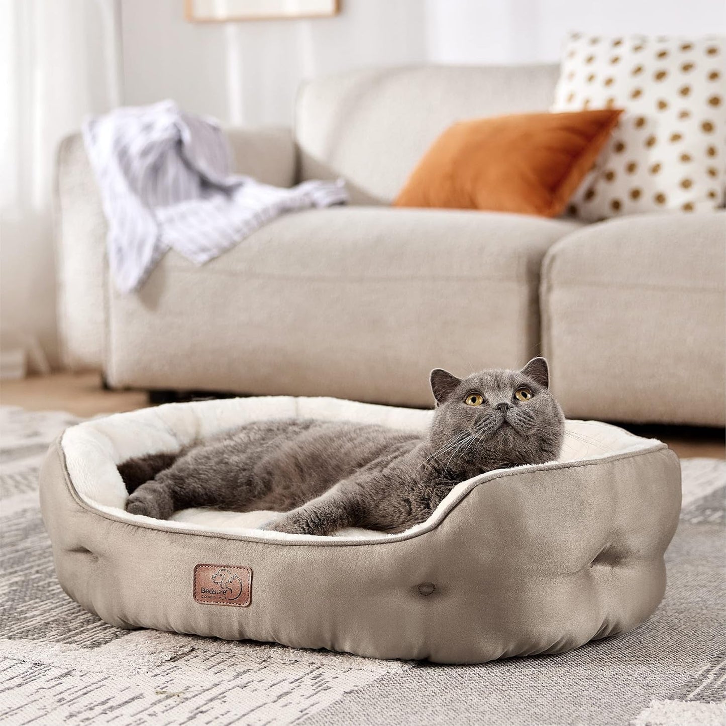 Bedden en banken, dekens en meubels, huisdieren, katten, kattenbedden, katten - bedden, matrassen