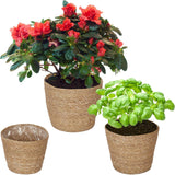 Relaxdays bloempotten van zeegras set van 3 ronde bloemen- en kruidenmand met folie 3 maten plantenbak naturel