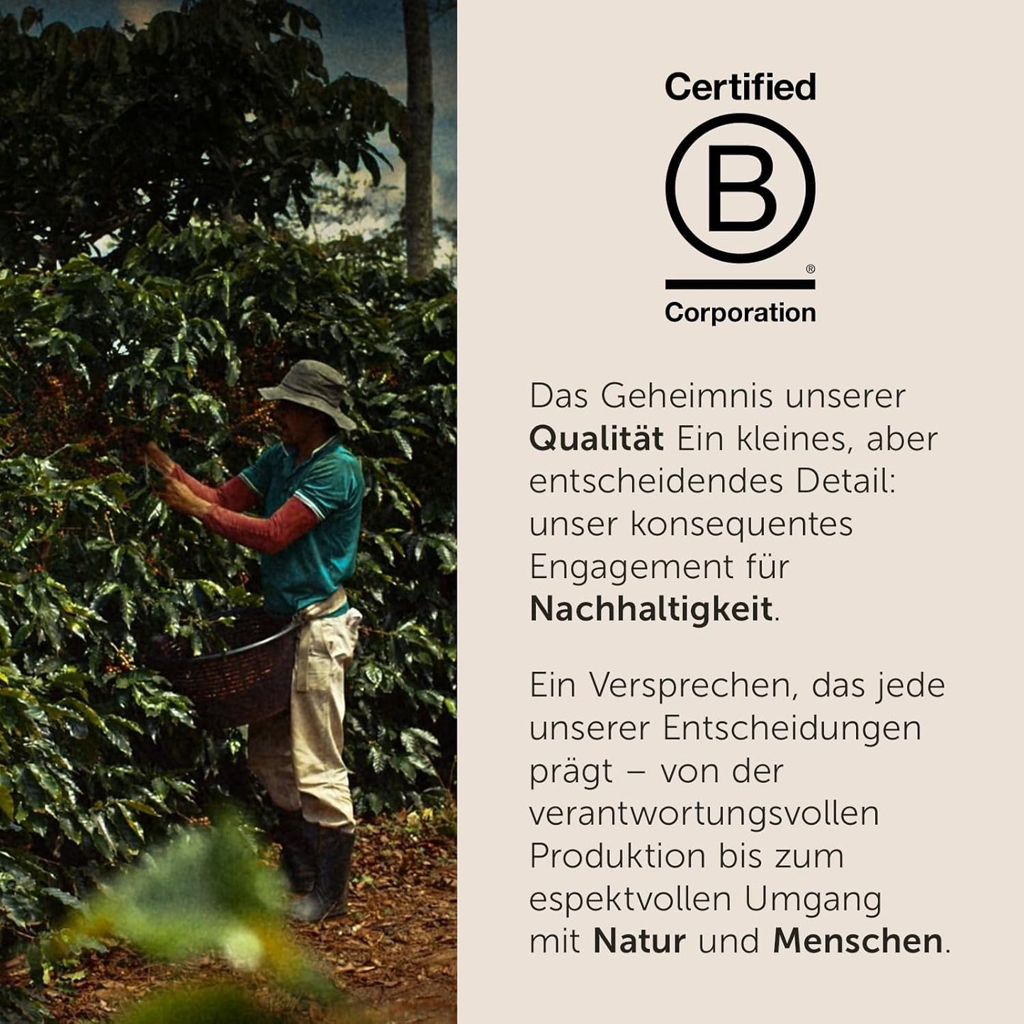illy, Iperespresso Arabica Selection Kolombien, 100% Arabica mit Fruchtigen Noten von Zitrusfrüchten en Roten Früchten, Gesmack mit Tarter Säure, 6 Packungen à 18 Kapseln (Insgesamt 108 Kapseln)