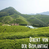 KLUIZ Gyokuro Tokiwa biologisch - Eerste handgeplukte oogst - Japanse groene thee I 100 gram I Biologische groene thee