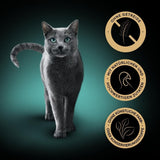 SHEBA Natvoer voor katten, Nature's Collection in kalkoensaus, 2 x 11 x 85 g