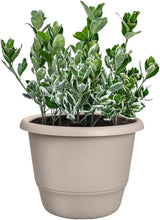 elho Amiga Round 47 - Bloempotten voor binnen en buiten - 100% gerecycled plastic - Ø 47,0 x H 35,3 cm - Beige/Paddestoelbeige