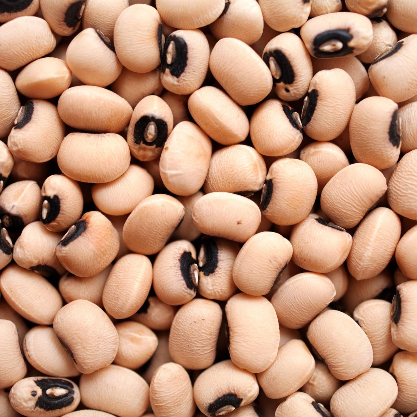 AFROASE - Erwten met zwarte ogen - 1 x 1 kg