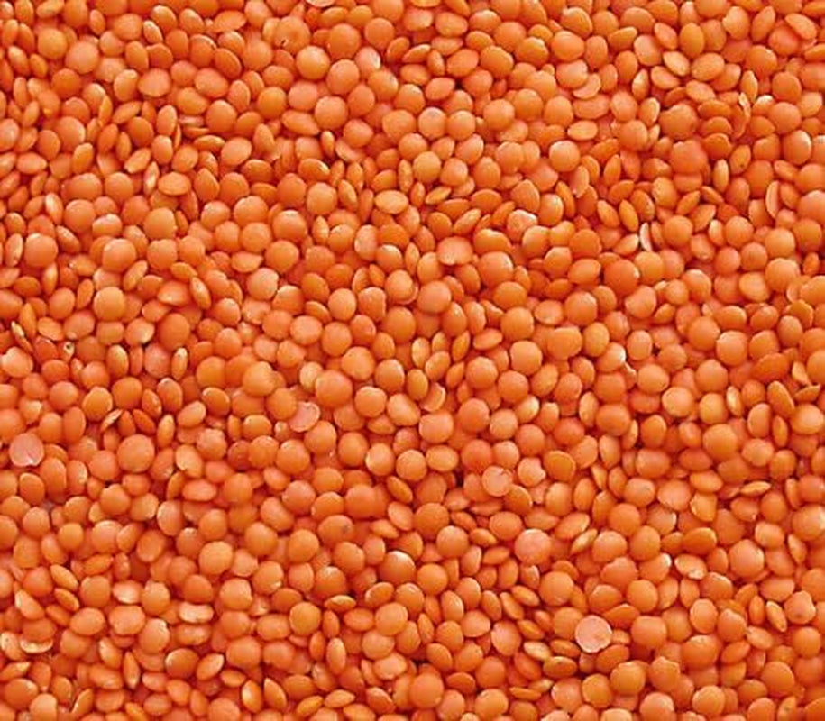 Seba Garden Rode Linzen 1kg - Premium hele linzen uit Canada - Massor Dal, niet-GMO, rijk aan eiwitten, rijk aan vezels - geheel natuurlijk, veganistisch, glutenvrij, ideaal voor soepen en curry's