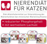 BEAPHAR - Nierdieet met kip - Volledige voeding voor katten met chronisch nierfalen - Ter ondersteuning van de nierfunctie - 100 g