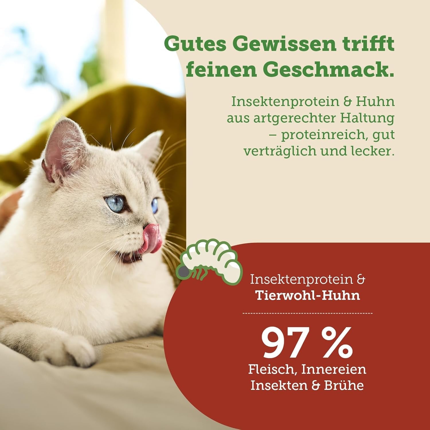MERA Cats Nature Insect Premium Katzenfutter Nass 12x85g | ohne Zucker en Getreide| Nachhaltig en met veel Insektenproteïne | Volwassen Katzennassfutter