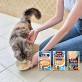 INABA Ciao Broth Natvoer voor katten 88% vocht en vitamine E, premium soep voor katten met kip 40 g (pak van 12), 100% natuurlijk vlees, graanvrij, suikervrij