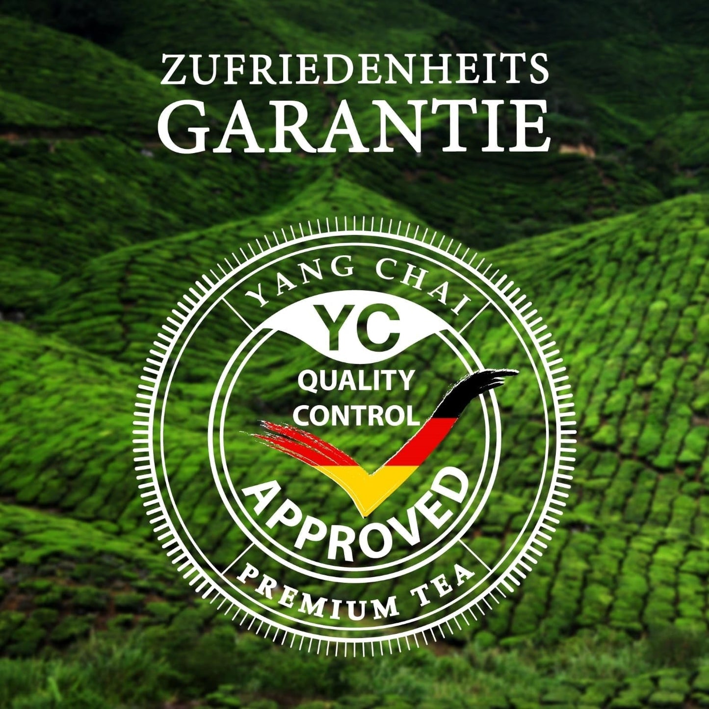 YC Yang Chai Sencha Groene Thee BIO 250G - Japanse losse thee met bergamotsmaak - Originele Japanse groene thee "Sencha Dynastie" uit gecontroleerde biologische teelt