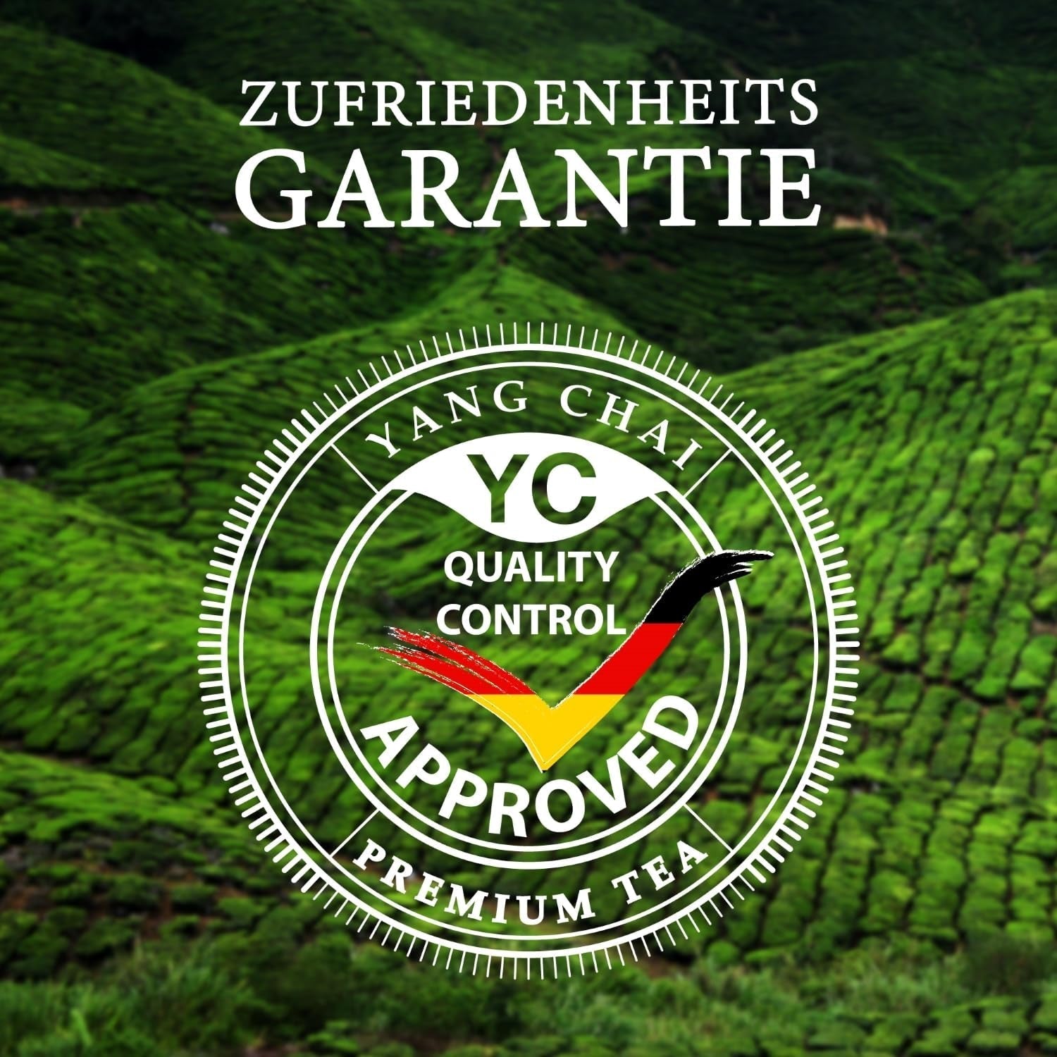 YC Yang Chai Sencha Groene Thee BIO 250G - Japanse losse thee met bergamotsmaak - Originele Japanse groene thee "Sencha Dynastie" uit gecontroleerde biologische teelt
