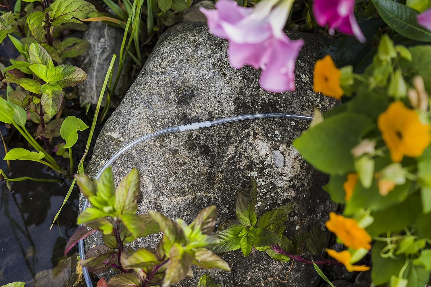 Gardena slangconnector: kunststof accessoire voor het repareren van slangen/verlengen van 10 mm slangen (7293-20)