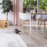 Dekens en meubels, Huisdieren, Grotten & Huizen, Katten, Kattenbedden, Katten - bedden, matrassen