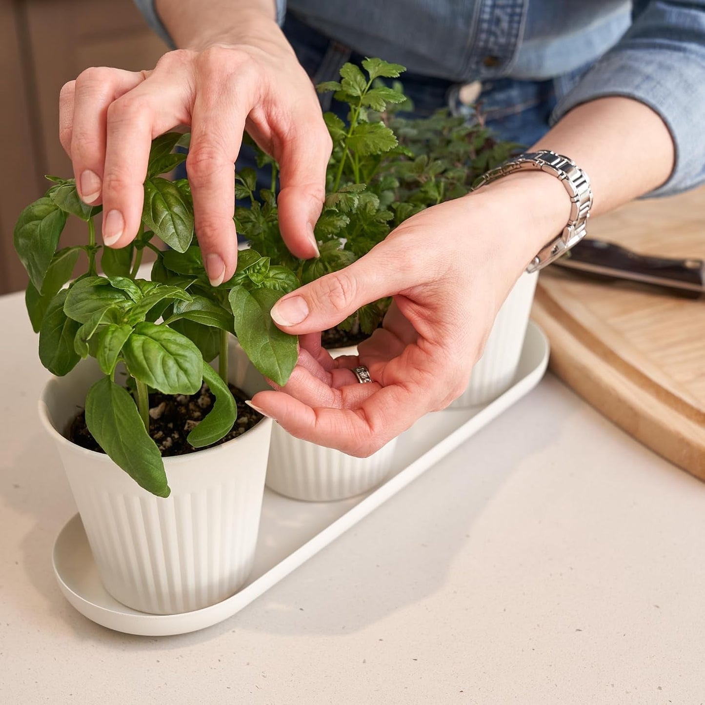 Set van 3 prachtige kruidentuinpotten, perfect voor elke vensterbank of aanrecht, een moderne decoratieve tuinplantenset inclusief dienblad en...