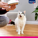 Vitakraft Poésie Création, Tender Selection, Nat kattenvoer, Nat kattenvoer in saus, met kip, met kalkoen, met rundvlees, zonder toegevoegde suiker en granen (1 verpakking van 6 x 85 g)
