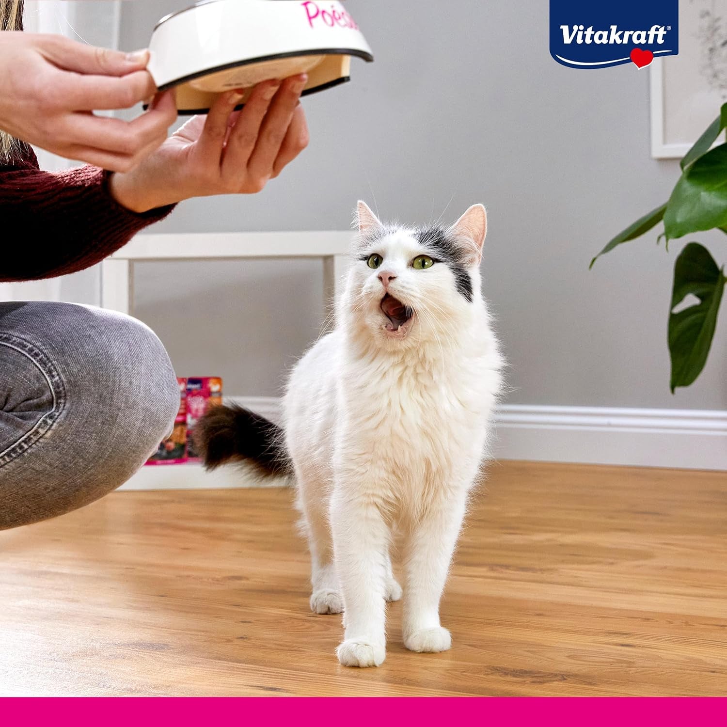 Vitakraft Poésie Création, Tender Selection, Nat kattenvoer, Nat kattenvoer in saus, met kip, met kalkoen, met rundvlees, zonder toegevoegde suiker en granen (1 verpakking van 6 x 85 g)