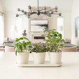Set van 3 prachtige kruidentuinpotten, perfect voor elke vensterbank of aanrecht, een moderne decoratieve tuinplantenset inclusief dienblad en...