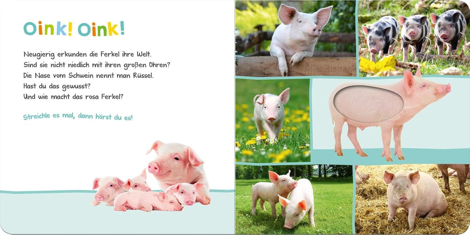 Luister, wie zou het kunnen zijn? - Boerderijdieren: aaien en luisteren | Hoogwaardig kartonnen prentenboek met 5 geluiden en voelelementen voor kinderen vanaf 18 maanden Baby Toys Naty Shop