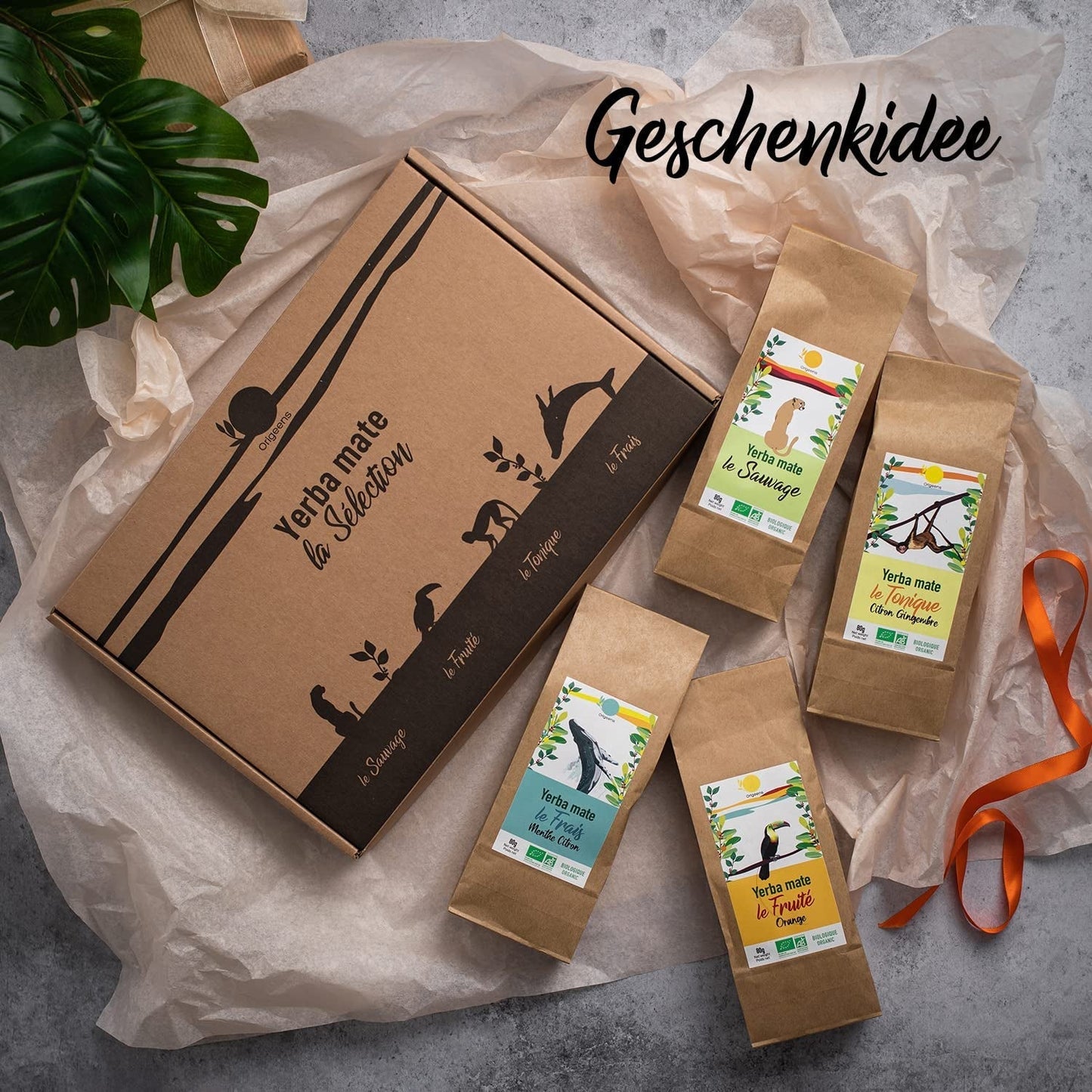 ORIGEENS BIO MATE TEA GIFT SET X4 I Yerba Mate Bio 4X80G I Yerba Mate theeservies, cadeau-idee