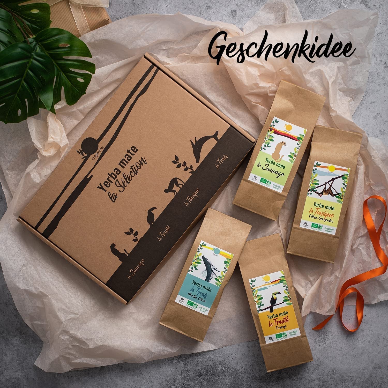 ORIGEENS BIO MATE TEA GIFT SET X4 I Yerba Mate Bio 4X80G I Yerba Mate theeservies, cadeau-idee